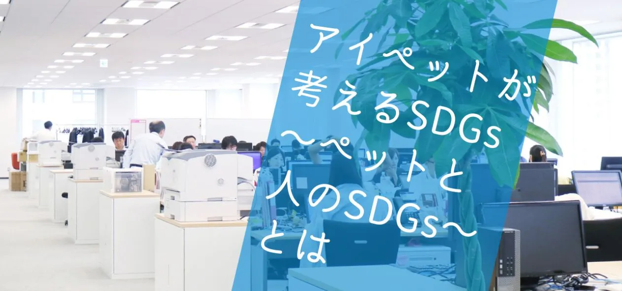 【アイペット損害保険×SDGs】えるぼし認定で3つ星を取得！ 女性だけではなく、全従業員が活躍できる会社